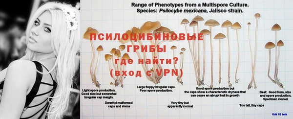 мефедрон мука Богданович